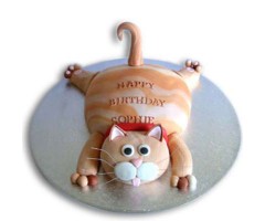 https://www.emotiongift.com/tabby-cat-cake